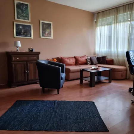 Apartment Deluxe Vozdovac
