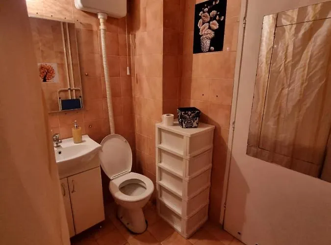 Large, Spacious Vozdovac Apartman *